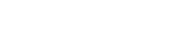 logo preview